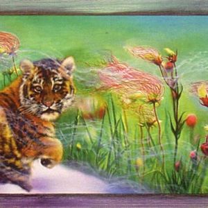 Spring Time 20 Limited Edition Lithographs